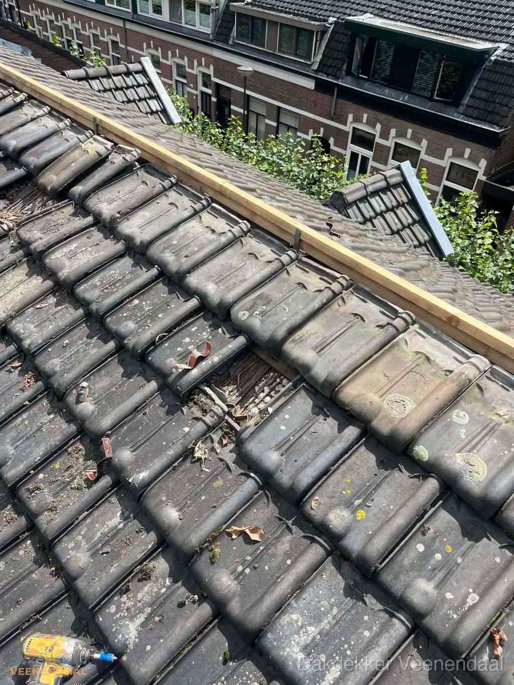 Dakonderhoud Veenendaal Dakonderhoud Veenendaal