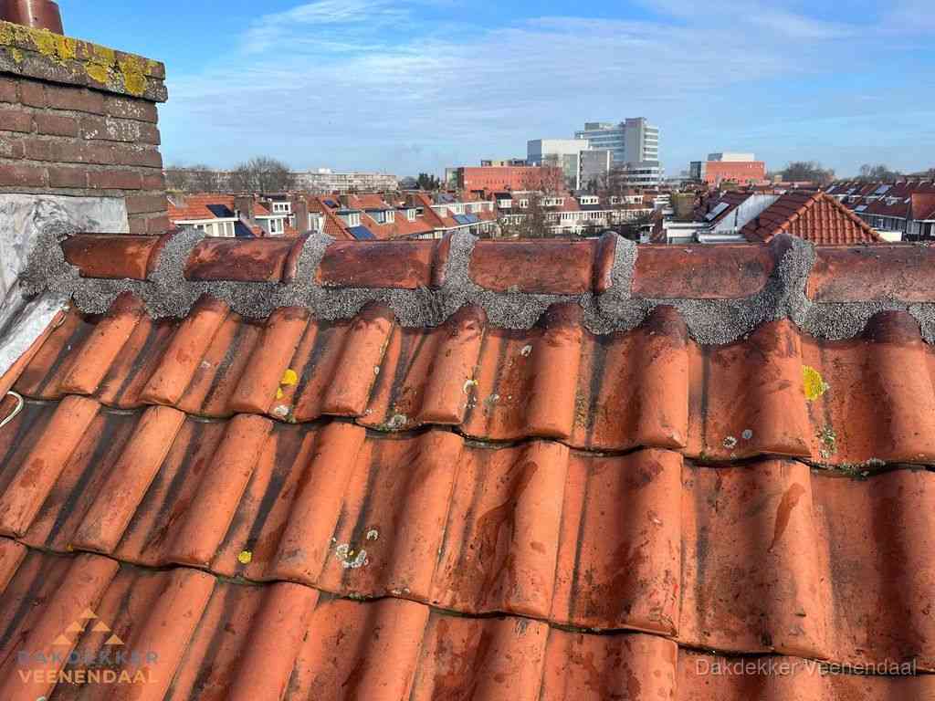 Veenendaal Daken Renoveren Veenendaal Daken Renoveren